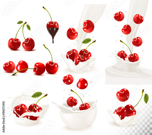 Set of ripe sweet cherries with leaves and splash of milk. Vector.