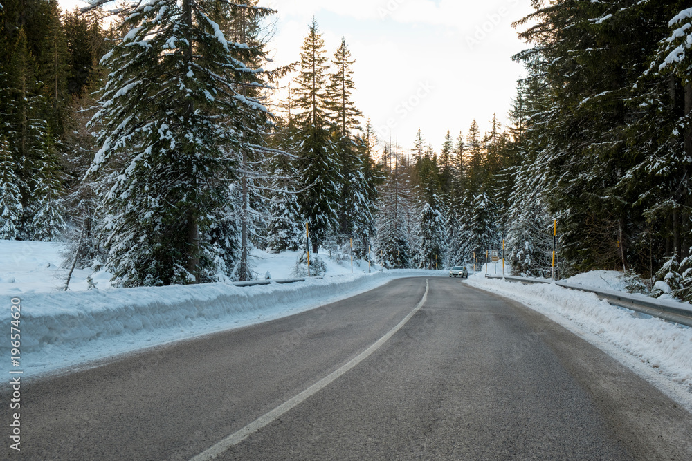Fir forest covered with first snow in the Dolomites Fir forest covered with first snow in the Dolomites