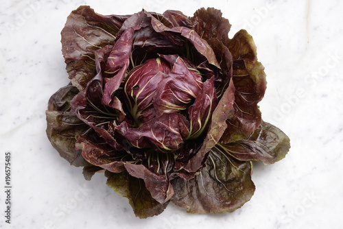 Fresh Red Trevisano Radicchio on marble photo