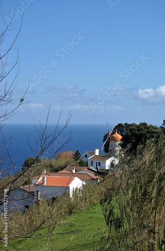 Paisagem da Bretanha, São Miguel, Açores, Portugal
 photo