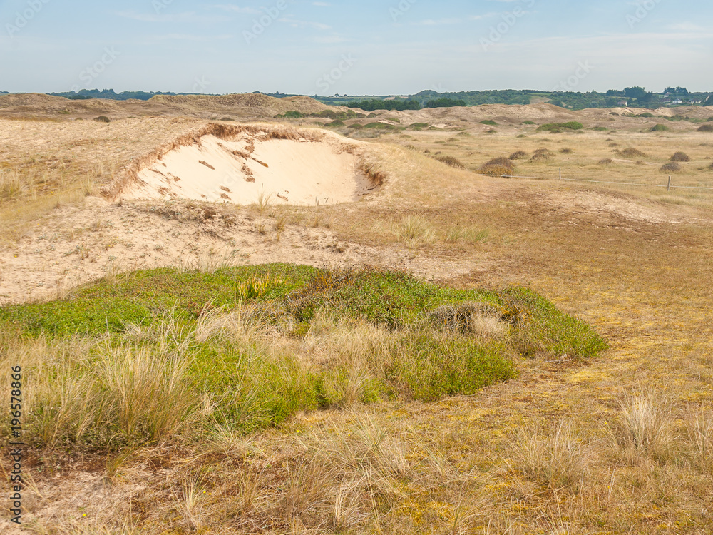 Dunes of Hatainville, sunny day in Normandy France