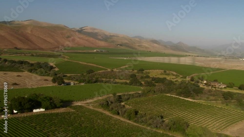 Helicopter aerial of a vineyard in the Santa Maria Valley, California. photo