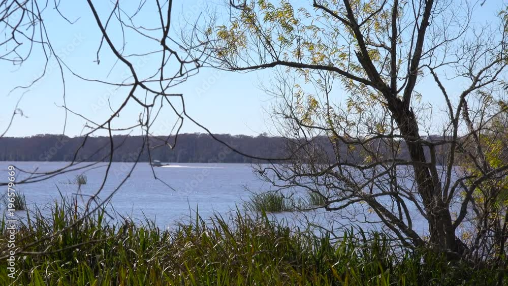 Establishing shot of the Louisiana bayou with motorboat distant. Establishing shot of the Louisiana bayou with motorboat distant.