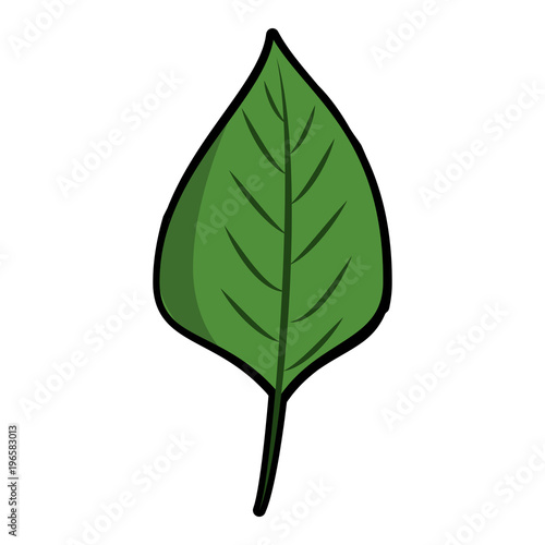 Leaf eco symbol vector illustration graphic design