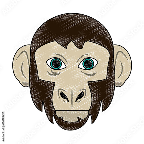 Monkey Wild animal head vector illustration graphic design
