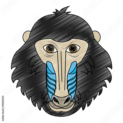 Mandrel monkey Wild animal head vector illustration graphic design