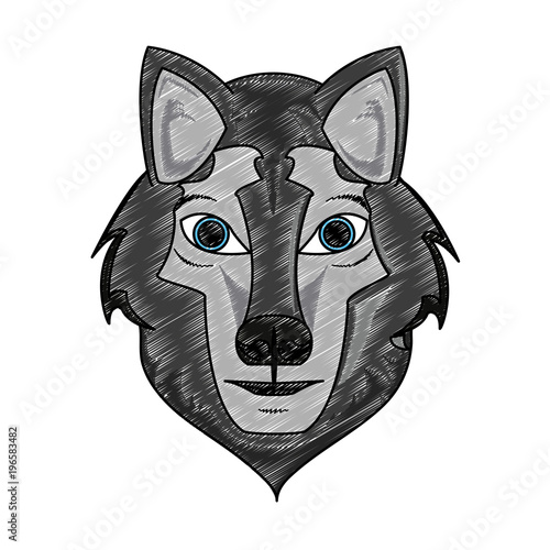 Wolf Wild animal head vector illustration graphic design