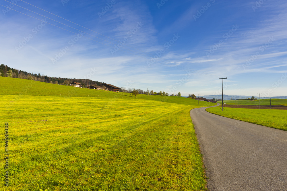 Obraz premium Asphalt road in Switzerland