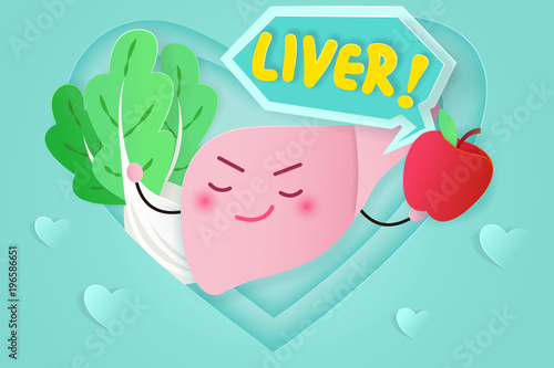 cute cartoon liver