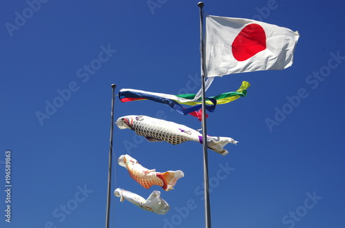 鯉のぼり