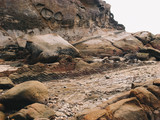 岩肌の侵食とや化石