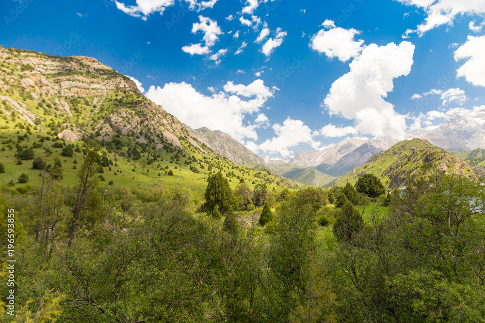 Obraz premium Beautiful nature in the Himalayas in spring