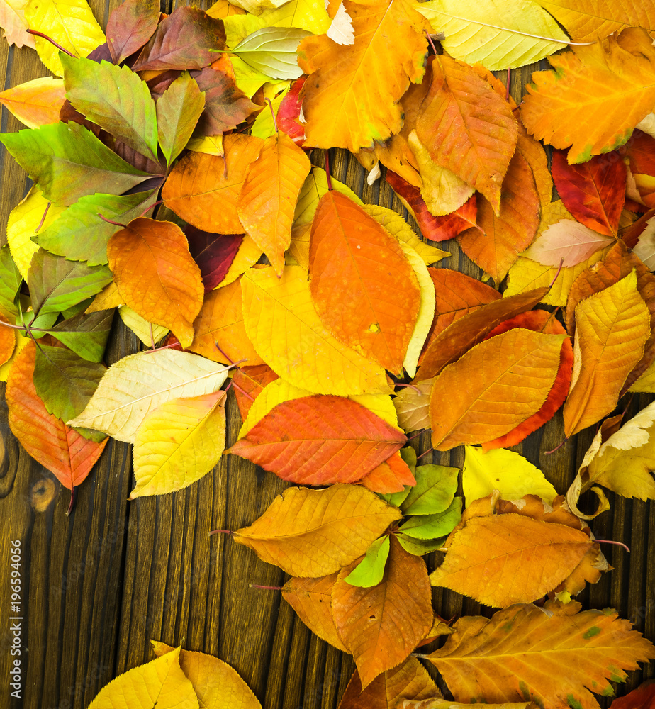 autumn leaves on wooden table autumn leaves on wooden table