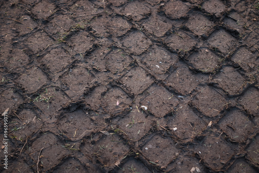 Wheel tracks on the soil. Wheel tracks on the soil.