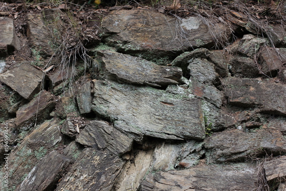 Pieces of wood Pieces of wood