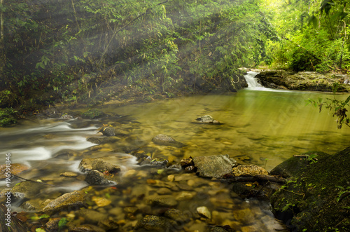 Beautiful beam into the forest