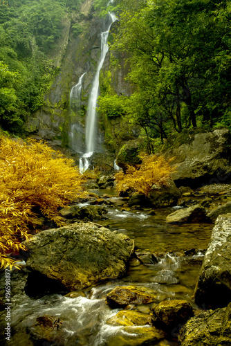 Water falls landscape colorful leaves on trees