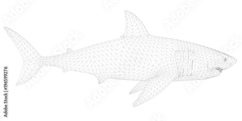 Polygonal 3D Shark