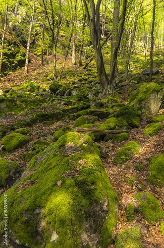 Rieger Trail  Bohemian Paradise   Cesky Raj   Czech Republic