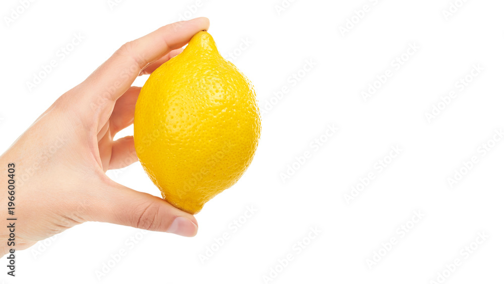 female hand holding lemon. Isolated on white background. copy space, template female hand holding lemon. Isolated on white background. copy space, template