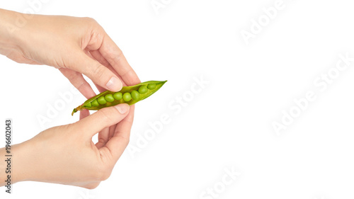 Beautiful female hand holds green fresh pea gesture. Isolated on white background. copy space, template