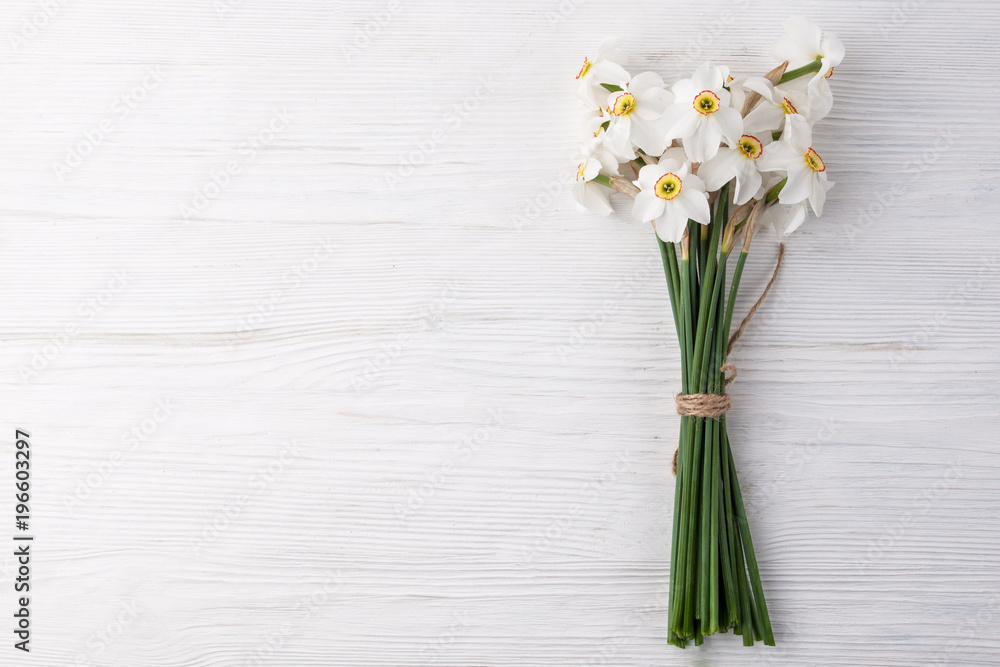 Daffodil flower on background