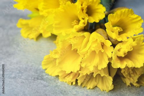 Fototapeta Naklejka Na Ścianę i Meble -  A bouquet of yellow daffodils on a light background. Flowering of flowers. Copy space 1