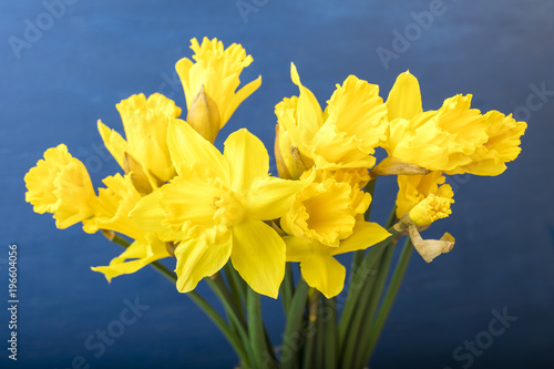 Fototapeta Naklejka Na Ścianę i Meble -  Bouquet of yellow narcissus on a blue background. Copy space 1