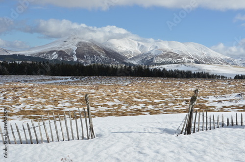Wallpaper Mural Massif du Sancy, Puy de l'Angle, Auvergne, France Torontodigital.ca