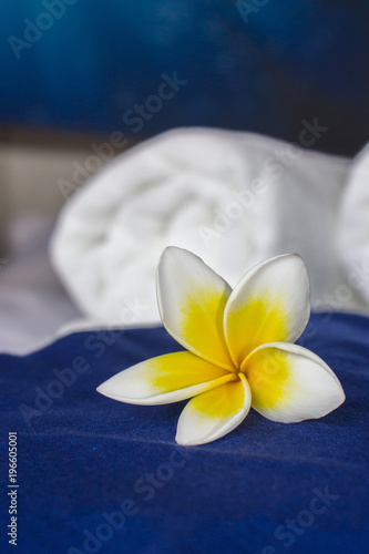 Frangipani flower, against a background of white towels and blue fabric. The concept of SPA. Copy space 2 photo