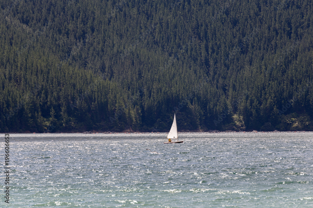 Naklejka premium Young man on the sailing boat