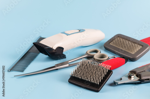 dog grooming tools and accessories set on light blue background. pet care and hygienic concept