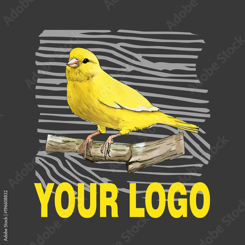 Illustration of clockwork canary by watercolor and ink with text on dark grey background