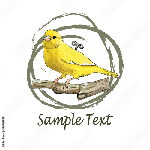 Illustration of clockwork canary by watercolor and ink with text on white background