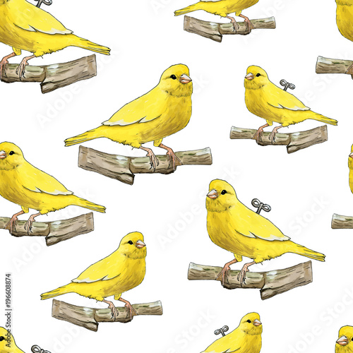 Seamless pattern of clockwork canary by watercolor and ink