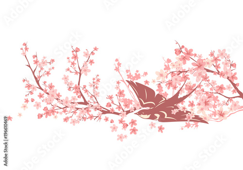 swallow bird among blooming sakura branches - spring season cherry tree vector design