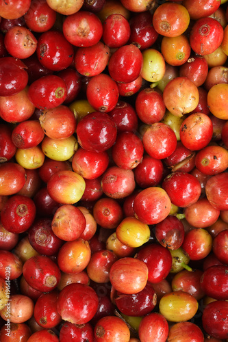  fresh coffee beans for background