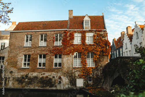 beautiful old house with ivy on wall near canal and bridge in brugge, belgium