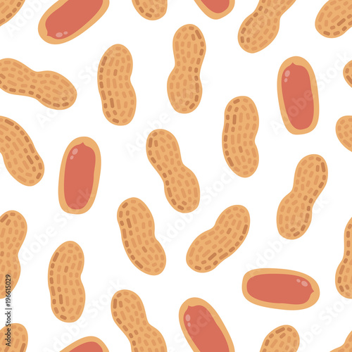 Seamless pattern peanuts on a white background. Vector texture.