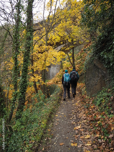 Paar wandert auf einem Weg mit gelbem Herbstlaub © Nancy