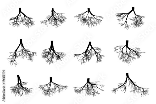 Tree roots set isolated on white background . Black image of roots underground, part of the body of a plant grows downward into the soil. Vector flat style cartoon illustration.