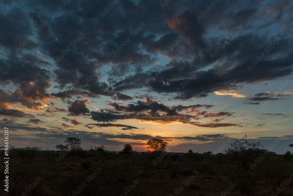 Fototapeta premium Gewitterwolken über der Serengeti