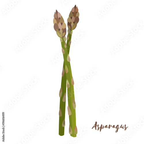 Asparagus. Flat design. Vector illustration.
