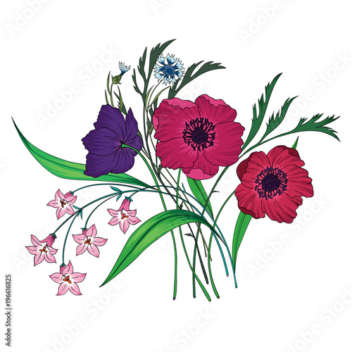 ector bouquet of garden flowers.Blooming flowers.Wildflowers. Vector Illustration on white background