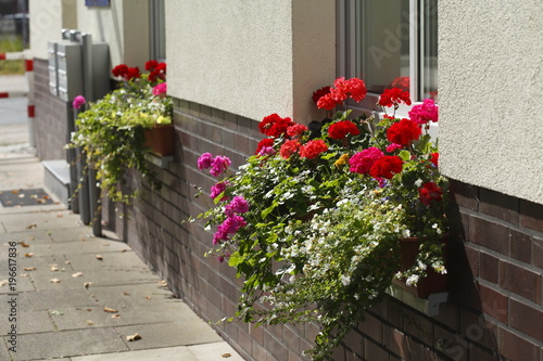 Fototapeta Naklejka Na Ścianę i Meble -  Blumenkasten