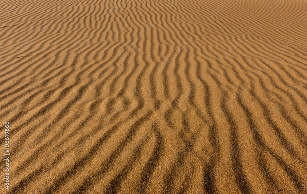 Fototapeta premium Ripples in the desert sand dunes in israel negev