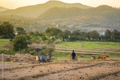2018-01-17: farmer at work in the valley of pai, thailand