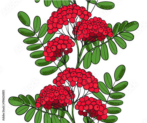 Seamless pattern Red Rowan Tree. Endless ornament twig of rowanberry or ashberry. Background leaves and cluster of sorbus berry. Brunch of sorb