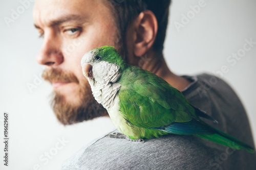 Close-up of young beard man with his pet Quaker parrot on shoulder at home. Monk parakeet is looking at camera with curiosity.