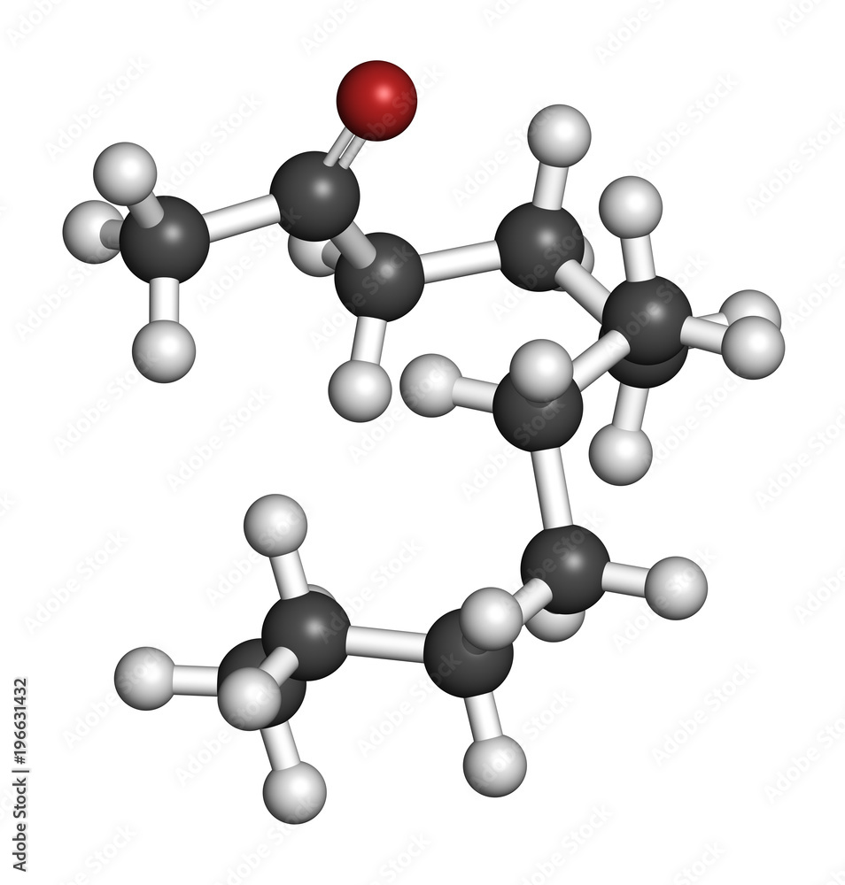Methyl nonyl ketone (2-undecanone) insect repellent molecule. 3D rendering. Atoms are represented as spheres with conventional color coding: hydrogen (white), carbon (grey), oxygen (red). Methyl nonyl ketone (2-undecanone) insect repellent molecule. 3D rendering. Atoms are represented as spheres with conventional color coding: hydrogen (white), carbon (grey), oxygen (red).